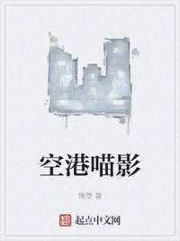 空港喵影大结局