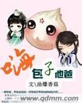 嗨包子他爸txt书包网