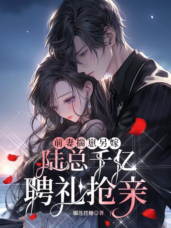 前妻揣崽另嫁,陆总千亿聘礼抢亲