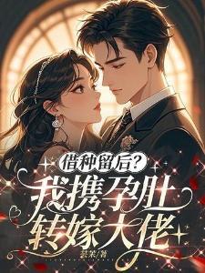 借种留后我携孕肚转嫁大佬简茉向珩